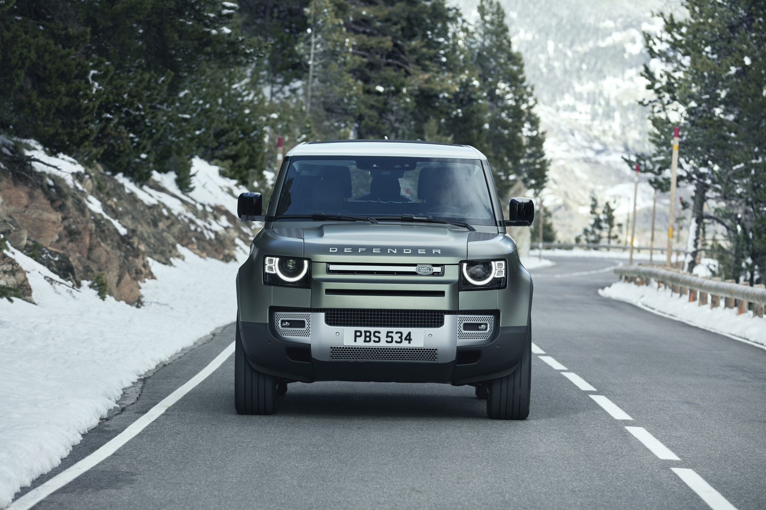 Land Rover DEFENDER 110 S